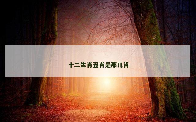 十二生肖丑肖是那几肖
