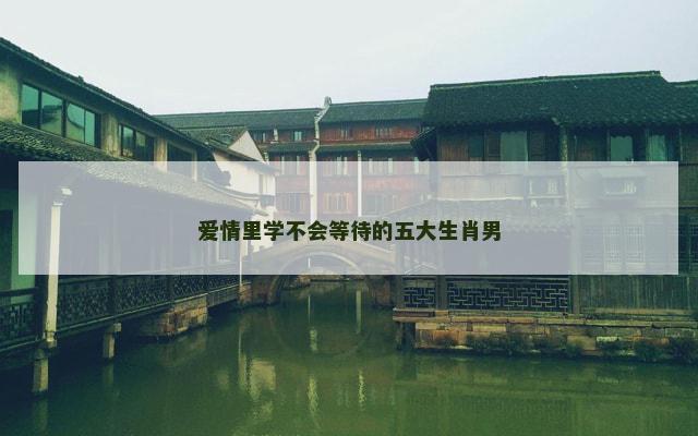 爱情里学不会等待的五大生肖男