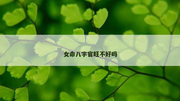 女命八字官旺不好吗
