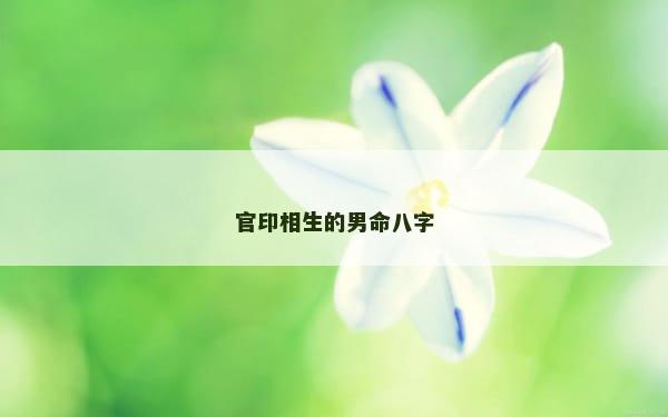 官印相生的男命八字