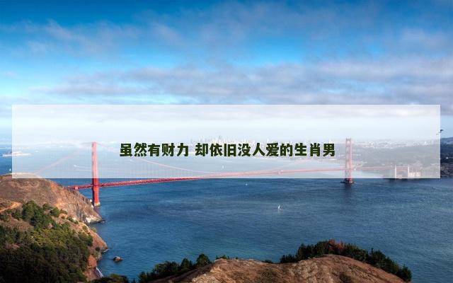 虽然有财力 却依旧没人爱的生肖男