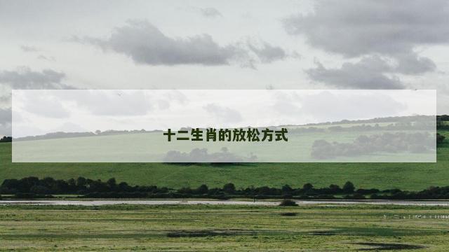 十二生肖的放松方式