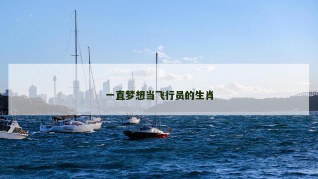 一直梦想当飞行员的生肖