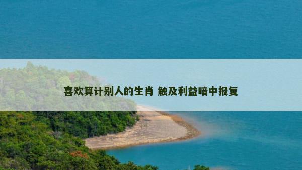 喜欢算计别人的生肖 触及利益暗中报复