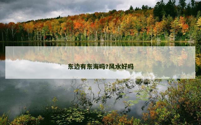 东边有东海吗?风水好吗