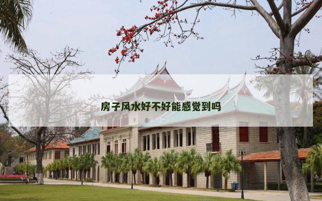 房子风水好不好能感觉到吗