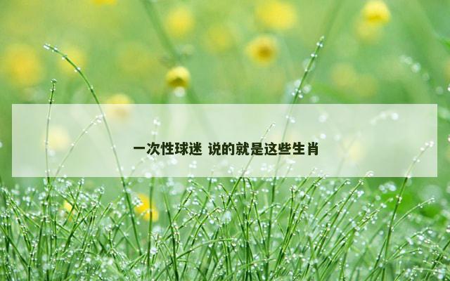 一次性球迷 说的就是这些生肖