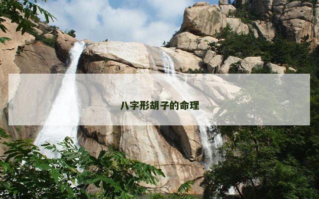 八字形胡子的命理
