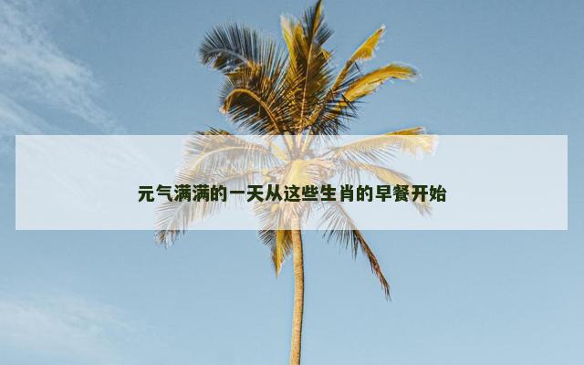 元气满满的一天从这些生肖的早餐开始