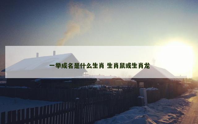 一举成名是什么生肖 生肖鼠或生肖龙