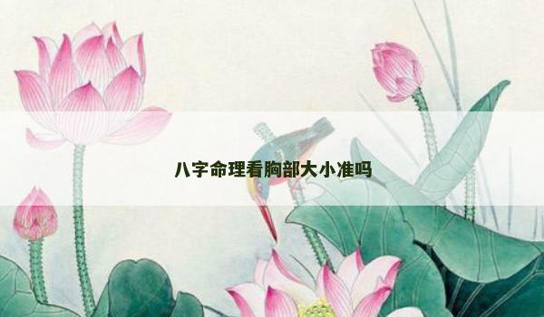 八字命理看胸部大小准吗
