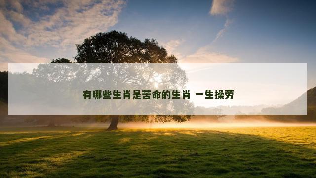 有哪些生肖是苦命的生肖 一生操劳