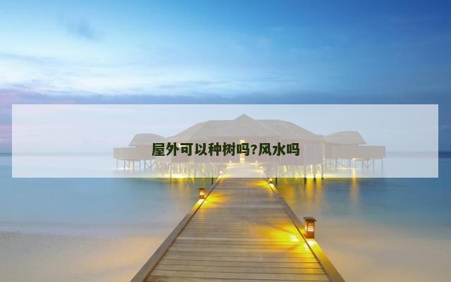 屋外可以种树吗?风水吗