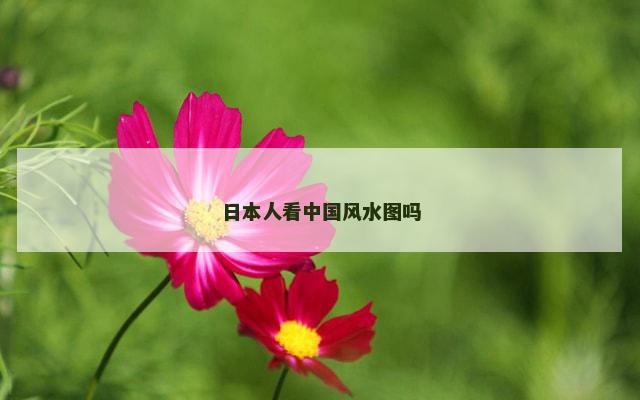 日本人看中国风水图吗