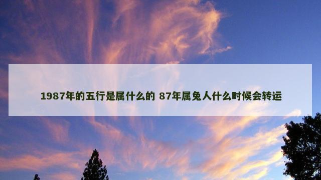 1987年的五行是属什么的 87年属兔人什么时候会转运