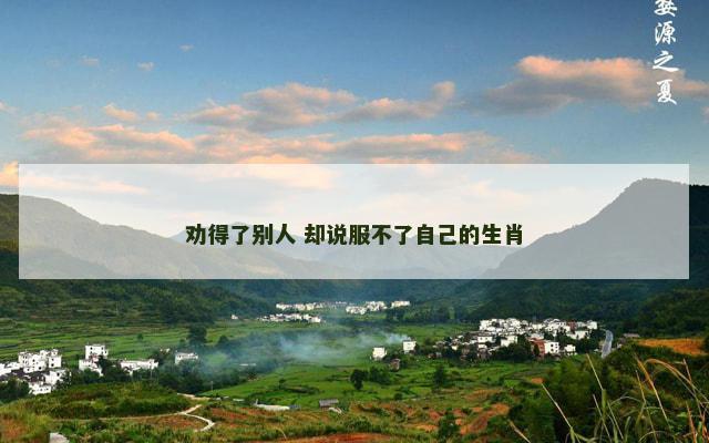 劝得了别人 却说服不了自己的生肖