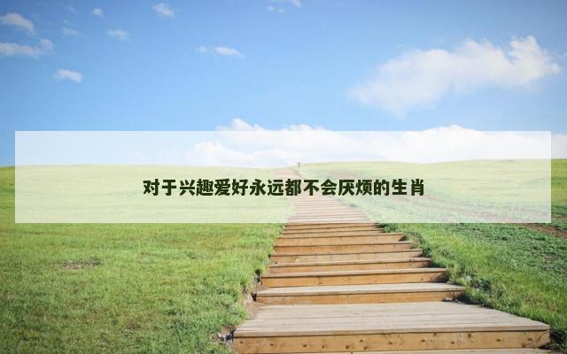 对于兴趣爱好永远都不会厌烦的生肖