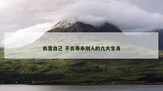 依靠自己 不会奉承别人的几大生肖