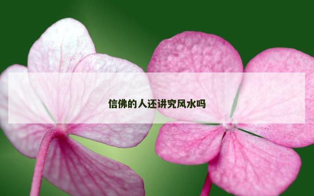 信佛的人还讲究风水吗