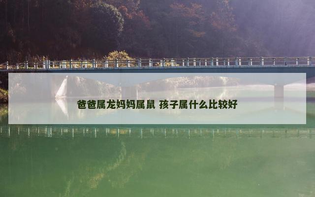 爸爸属龙妈妈属鼠 孩子属什么比较好