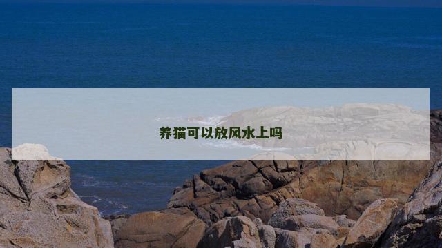 养猫可以放风水上吗