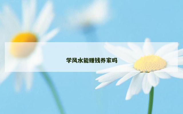 学风水能赚钱养家吗