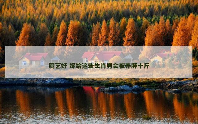 厨艺好 嫁给这些生肖男会被养胖十斤