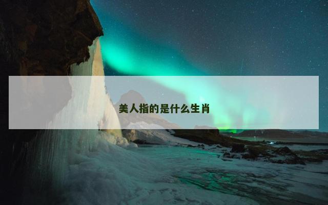 美人指的是什么生肖