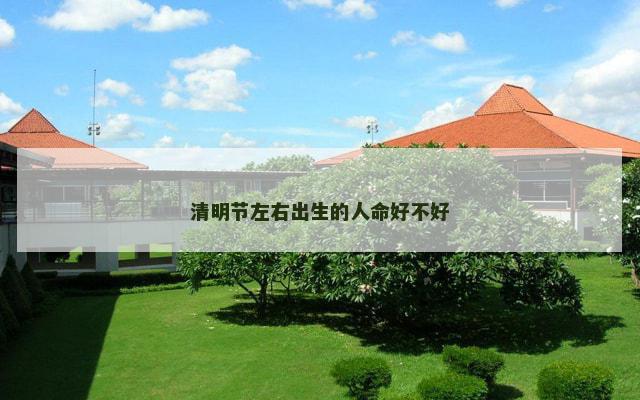 清明节左右出生的人命好不好