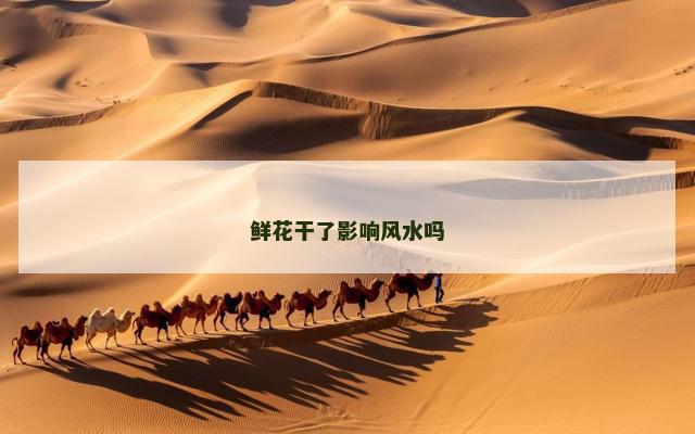 鲜花干了影响风水吗