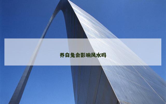 养白兔会影响风水吗