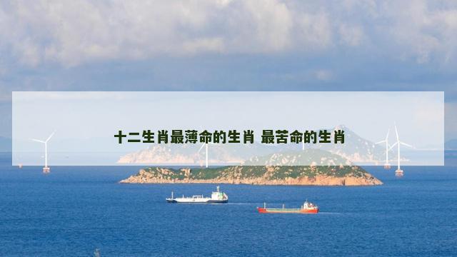 十二生肖最薄命的生肖 最苦命的生肖