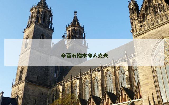 辛酉石榴木命人克夫