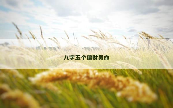 八字五个偏财男命