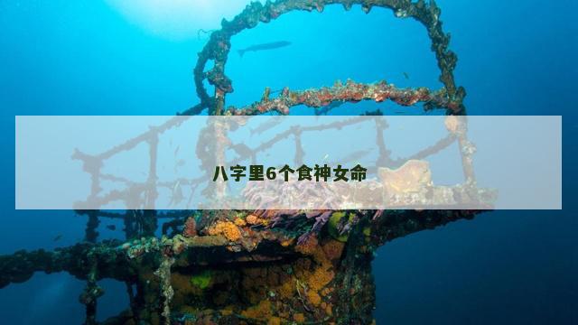 八字里6个食神女命