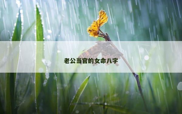 老公当官的女命八字