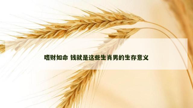 嗜财如命 钱就是这些生肖男的生存意义