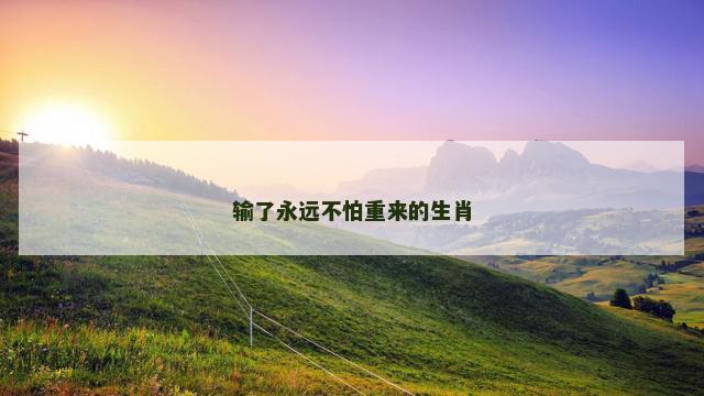 输了永远不怕重来的生肖