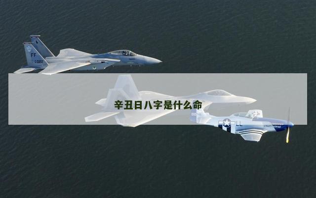 辛丑日八字是什么命