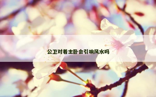 公卫对着主卧会引响风水吗