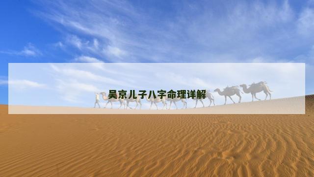 吴京儿子八字命理详解