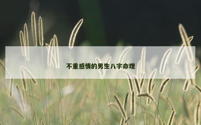 不重感情的男生八字命理