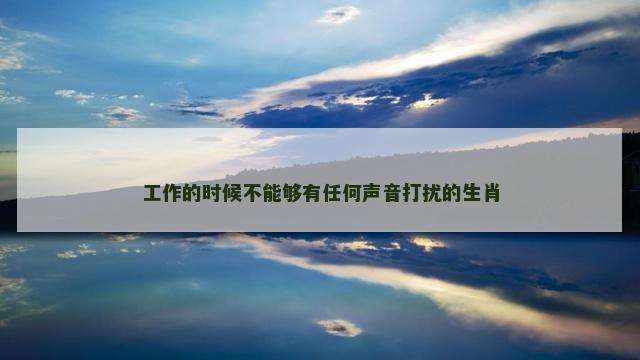 工作的时候不能够有任何声音打扰的生肖
