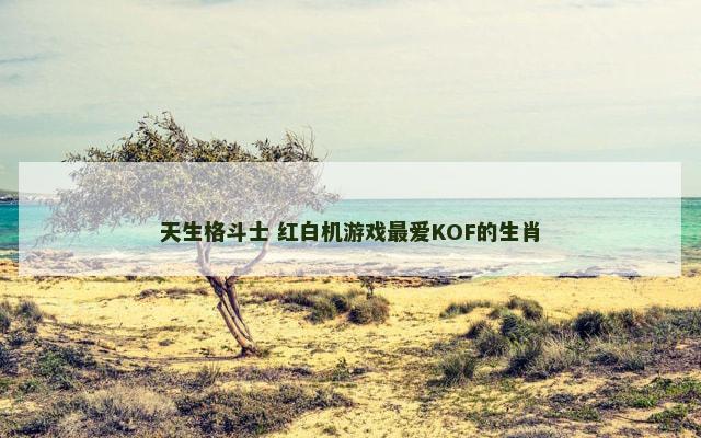 天生格斗士 红白机游戏最爱KOF的生肖