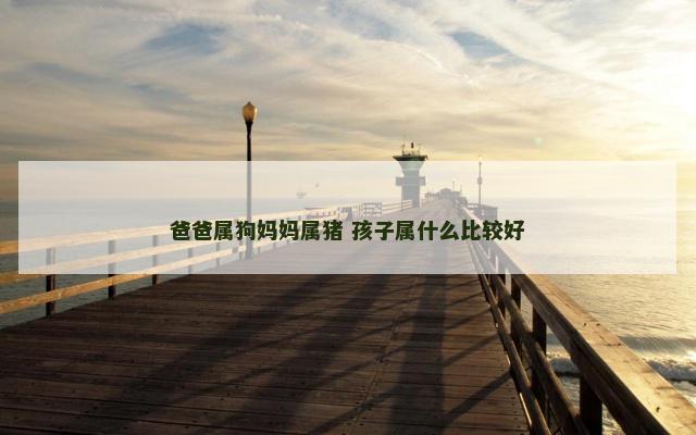 爸爸属狗妈妈属猪 孩子属什么比较好
