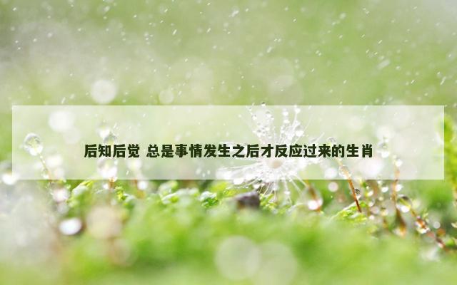 后知后觉 总是事情发生之后才反应过来的生肖