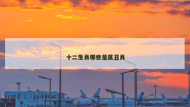 十二生肖哪些是属丑肖