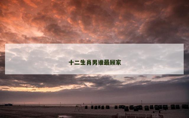 十二生肖男谁最顾家