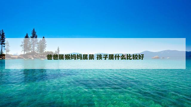 爸爸属猴妈妈属鼠 孩子属什么比较好