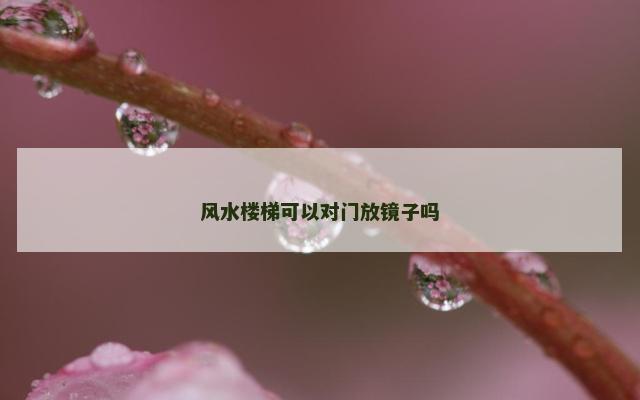 风水楼梯可以对门放镜子吗